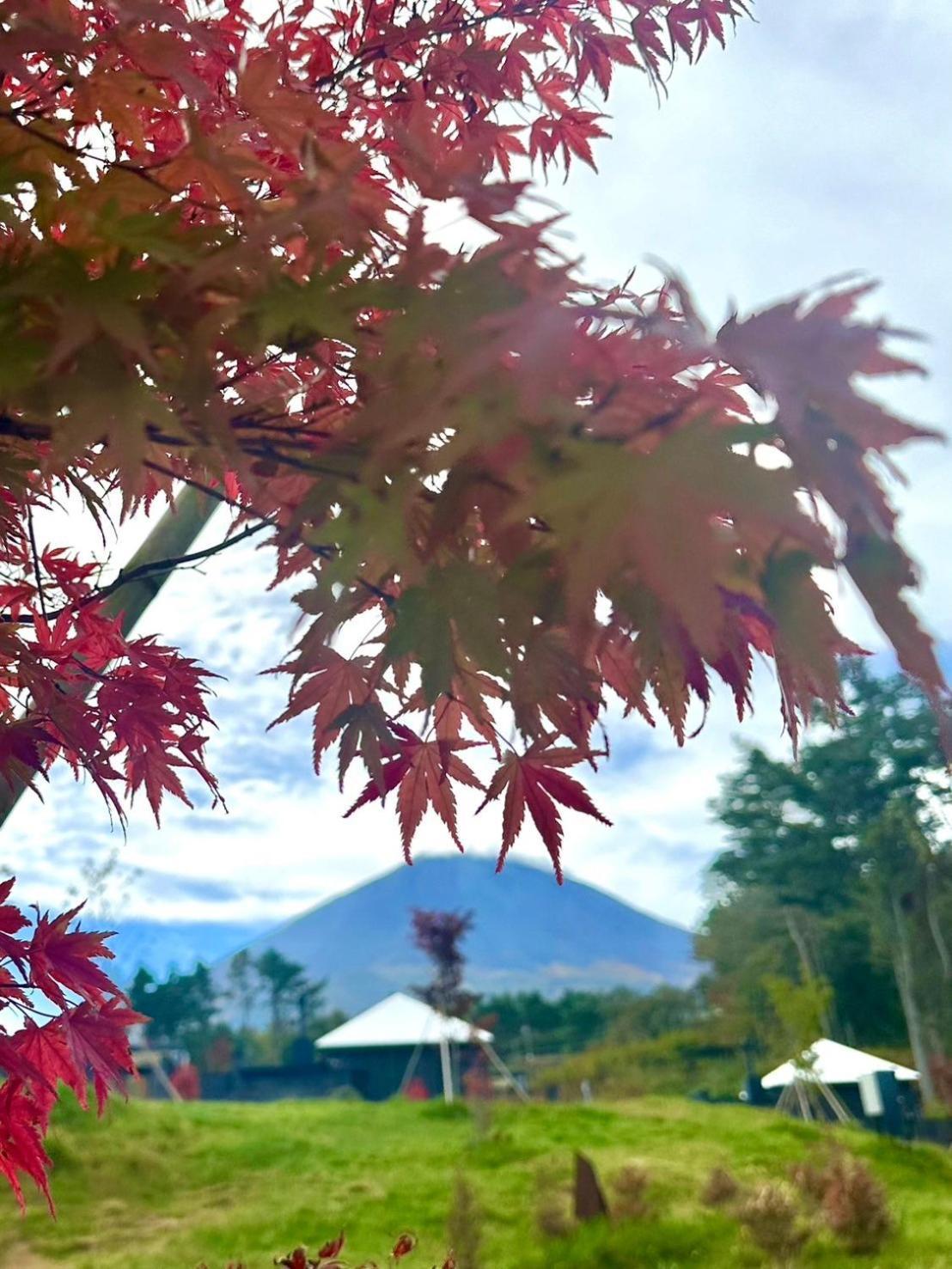ホテル The Sense Fuji 鳴沢村 エクステリア 写真